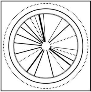 Wasp - Power Circle Quiz