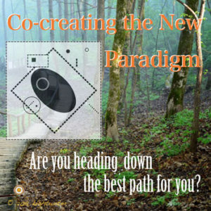 Stop Disaster Thinking in the New Paradigm