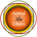 Mind Exercises - Animal Totem Tracks