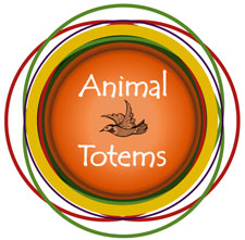 Intuition Training - Animal Totem Tracks