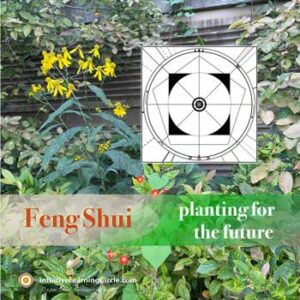 Planting Healthier Environments in Spring