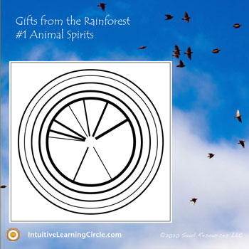 Animal Spirits from Gifts from the Rainforest