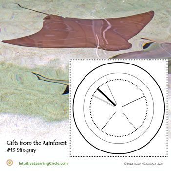 Stingray Medicine - Gifts from the Rainforest