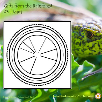 Lizard Medicine from Gifts from the Rainforest