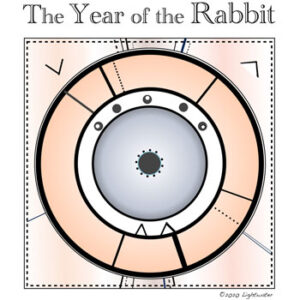 Rabbit - Todays Intuitive Reading