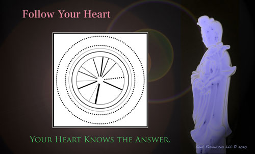 What Did You Learn? Follow Your Heart