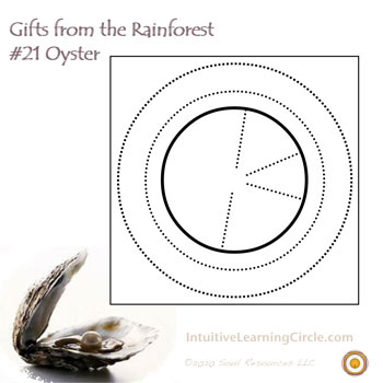 Oyster Medicine from Gifts from the Rainforest