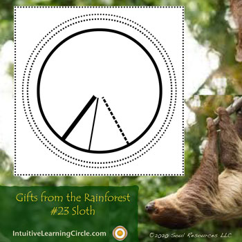 Sloth Medicine from Gifts from the Rainforest