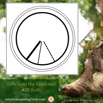 Reiki Basic Training - Tree Sloth and Intentions