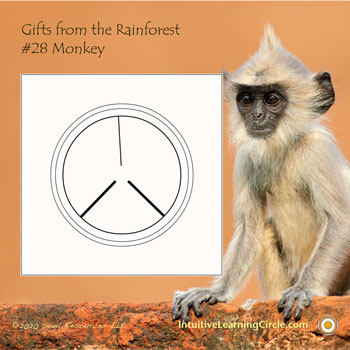 Monkey Medicine from Gifts from the Rainforest