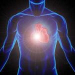 Heart Health - Respiration