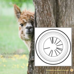 Intuition Training with Animal Totems - Track 5: Llama