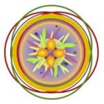 Path of Joy and Power Circles