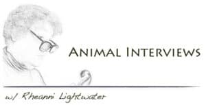 Animal Interviews