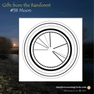 Moon Medicine - Getting in Sync with Your Natural Cycles