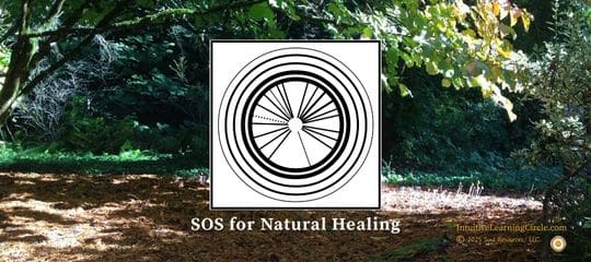 Soul Oriented Solutions for Natural Healing